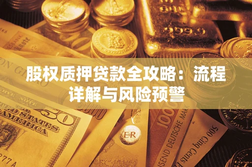北京股权质押贷款全攻略：流程详解与风险预警