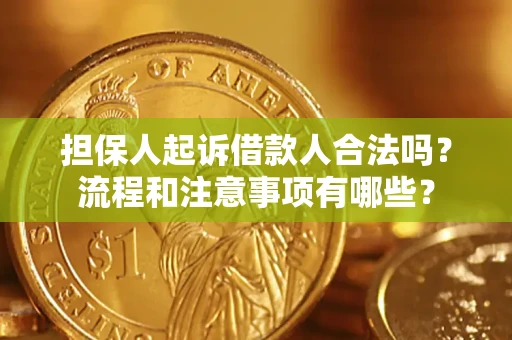 北京担保人起诉借款人合法吗？流程和注意事项有哪些？