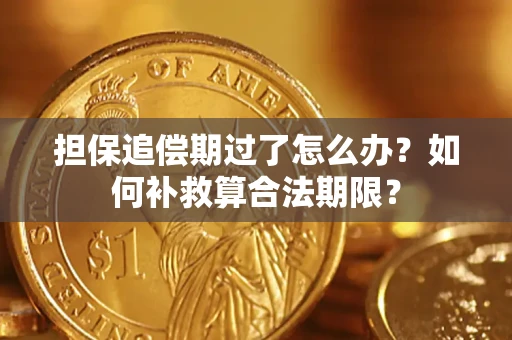 北京担保追偿期过了怎么办？如何补救算合法期限？