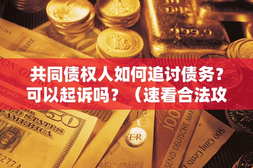 北京共同债权人如何追讨债务？可以起诉吗？（速看合法攻略）