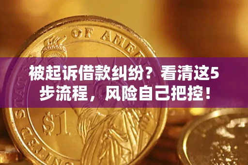 北京被起诉借款纠纷？看清这5步流程，风险自己把控！