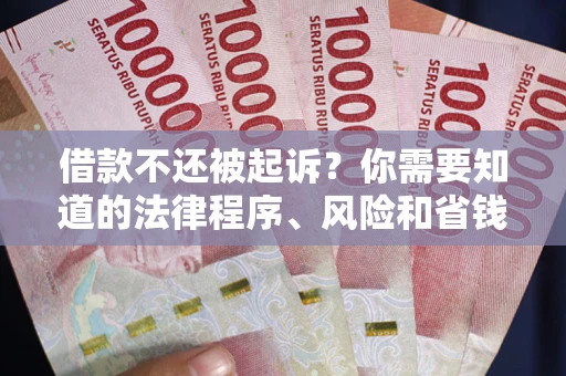 北京借款不还被起诉？你需要知道的法律程序、风险和省钱技巧